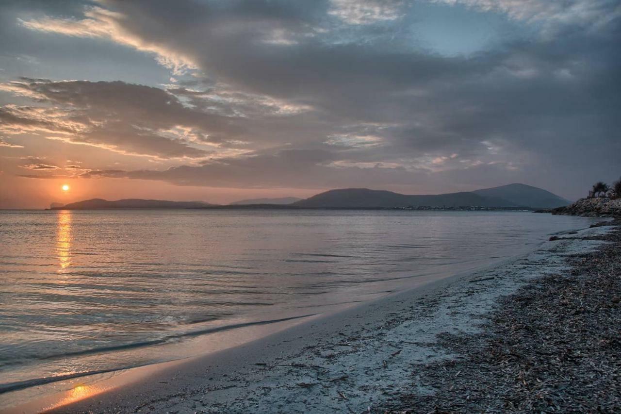 Zona Residenziale, Appartamento Incantevole Vista Mare Via Antonio Gramsci, 18, 07041 Alghero Ss Eksteriør bilde